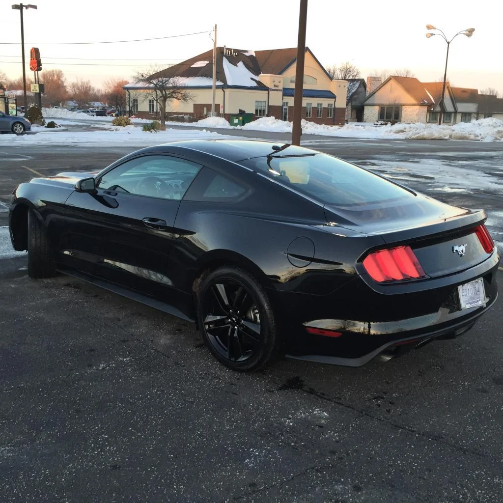 IMG_0482_zps413mfitq.webp