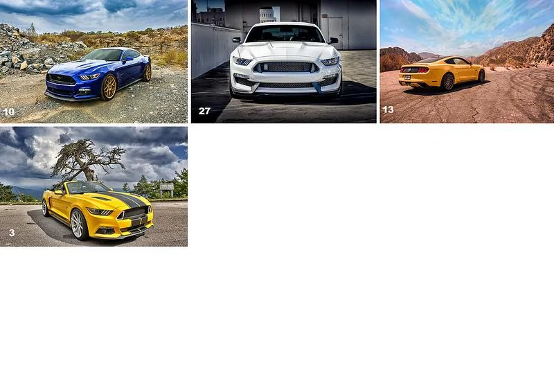 30239066904_cc3c69be92_c.webp