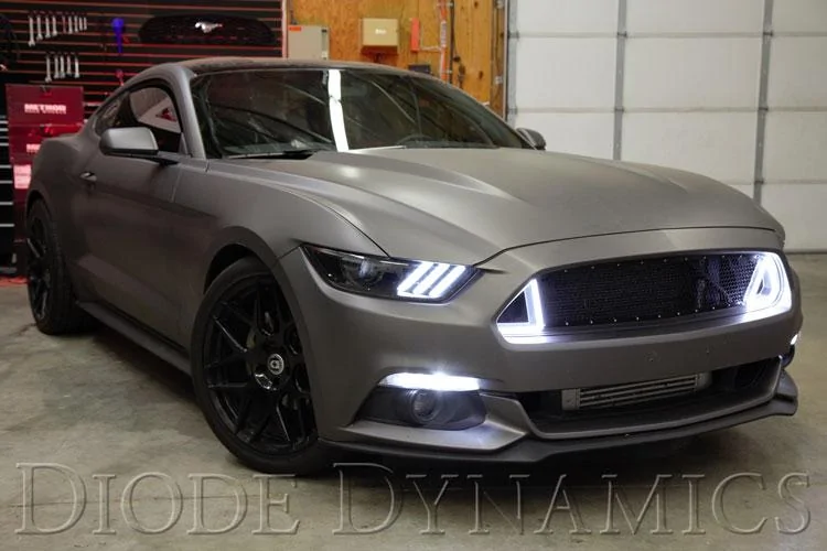 Mustang_wide_white.webp