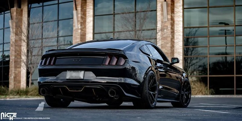 Niche_Misano_Stang505_med.webp