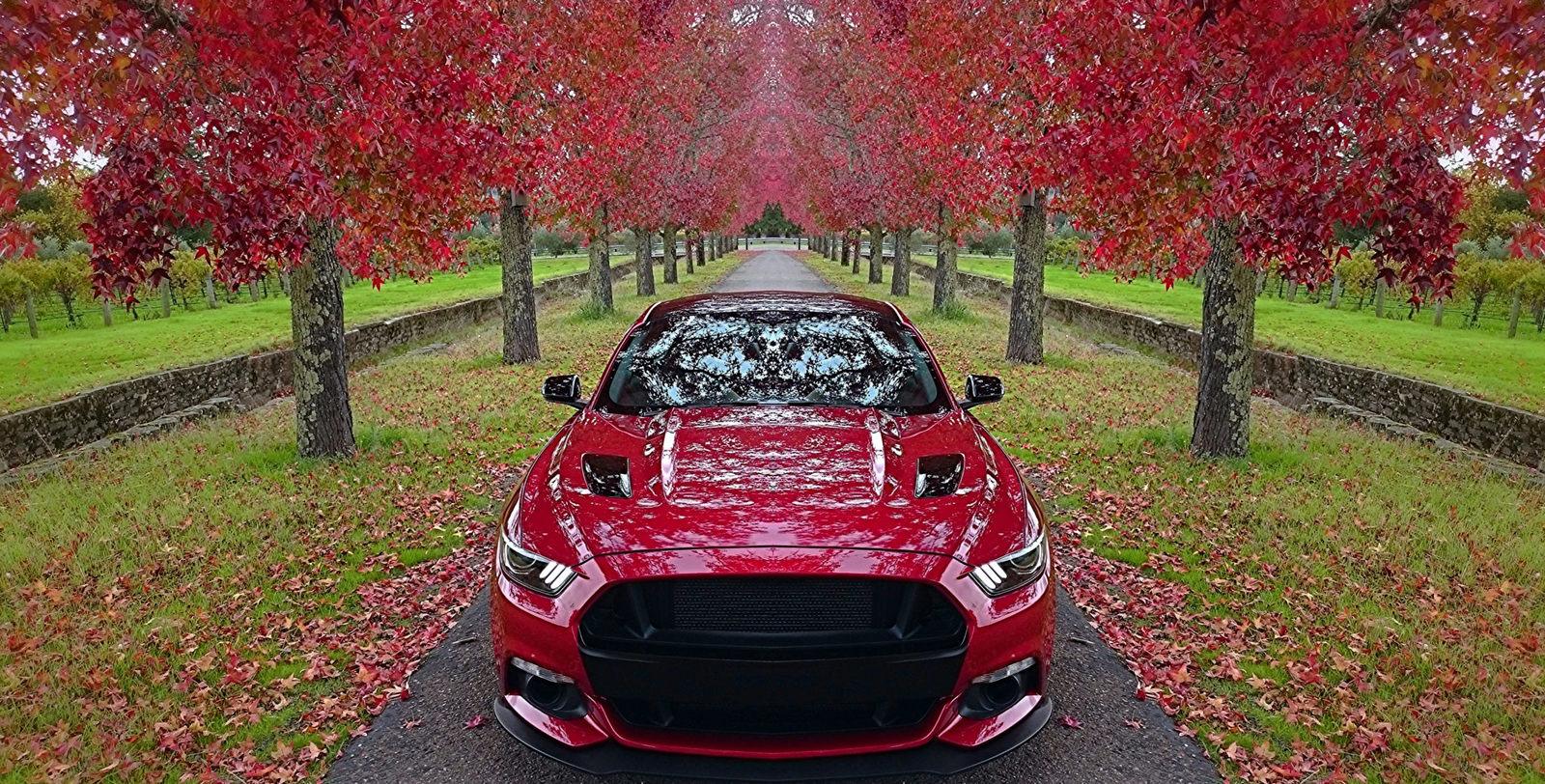 22827927118_2d94a6bc21_k.jpg