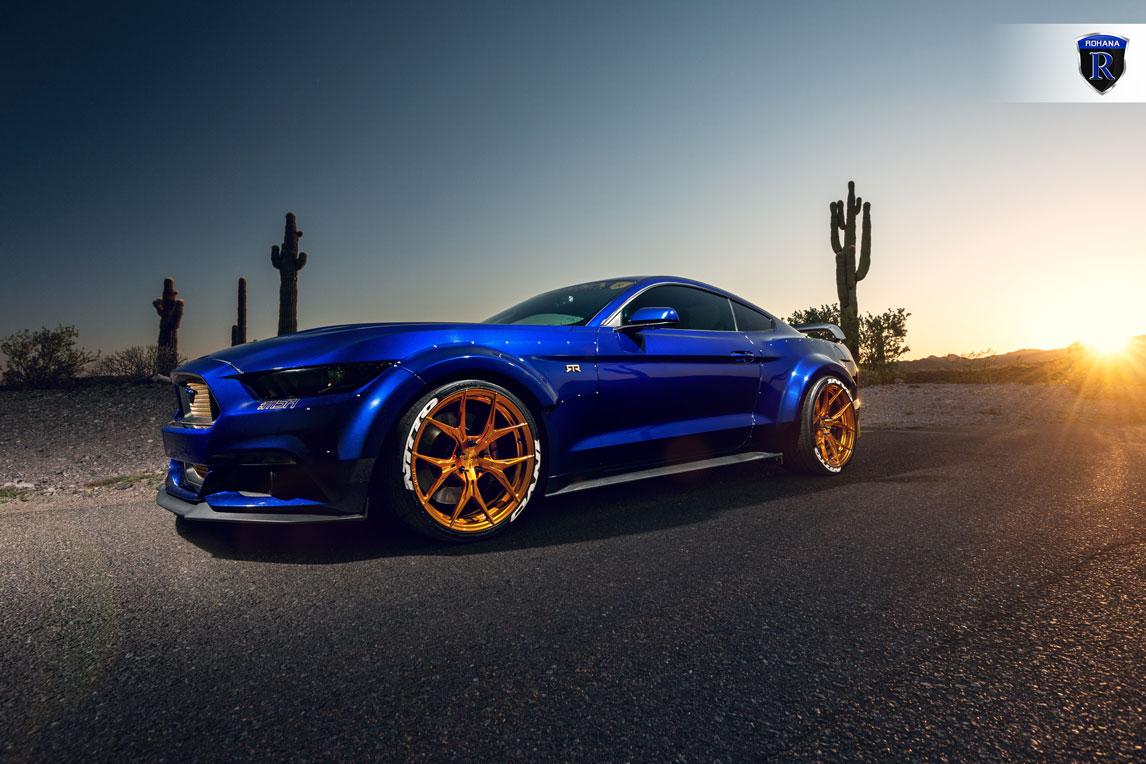 mustang4.jpg