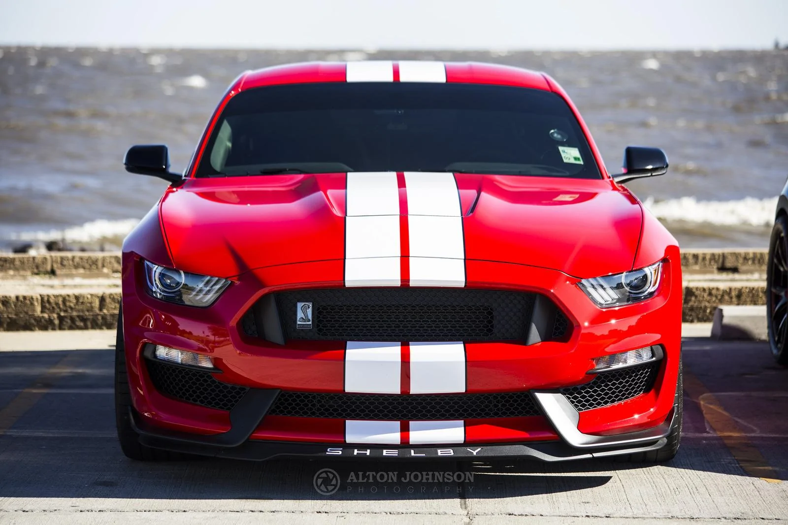 30995759602_f59b241b24_k.webp