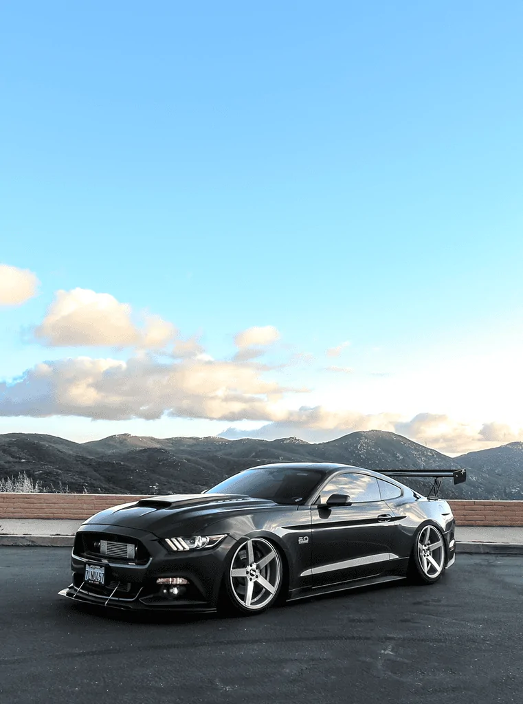 S550137_zps5j8ngnsu.webp
