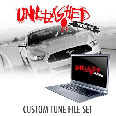 Mustang_Custom_Tune__33775.1421090185.495.400.webp