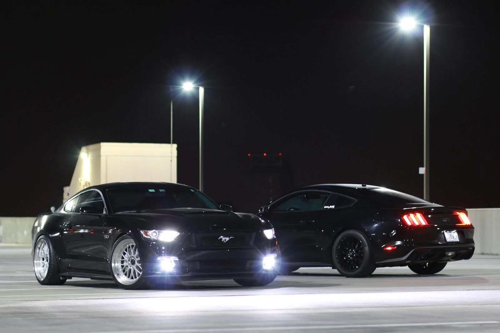 31303721446_d1ebc90d36_h.webp