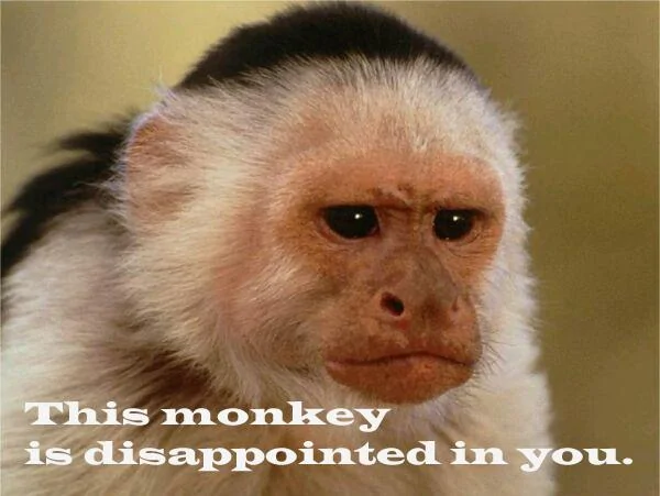 disappointed.webp