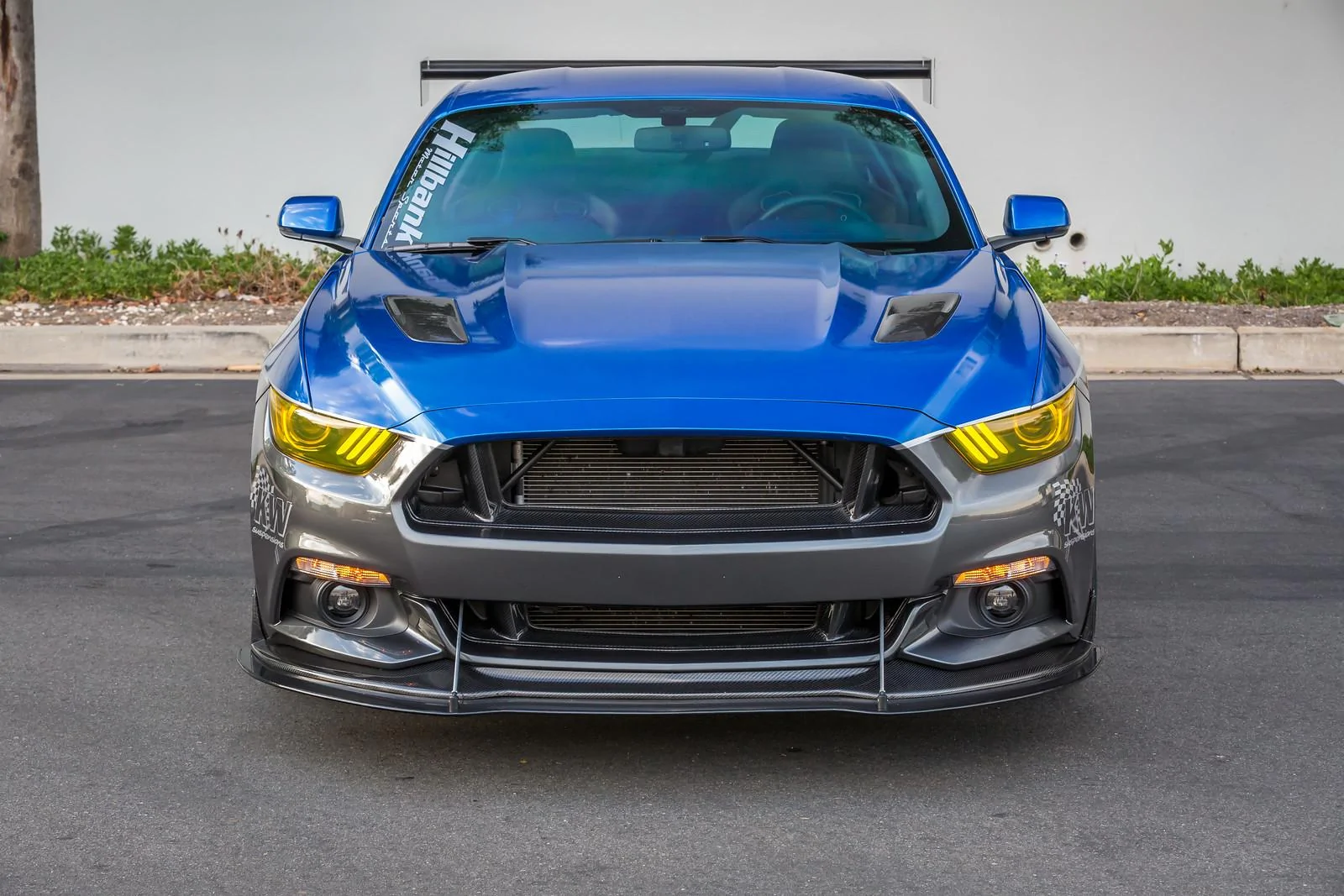 TED_6786-X3.webp