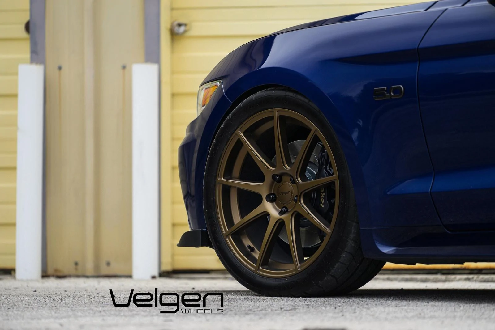 Blue-Mustang-on-VMB9-Bronze-8.webp