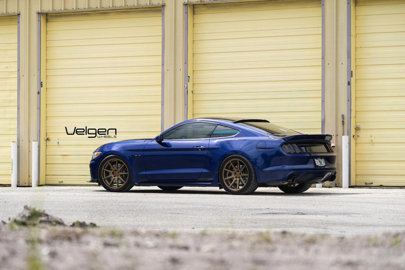 Blue-Mustang-on-VMB9-Bronze-4.webp