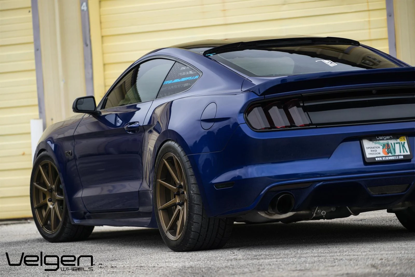 Blue-Mustang-on-VMB9-Bronze-6.webp