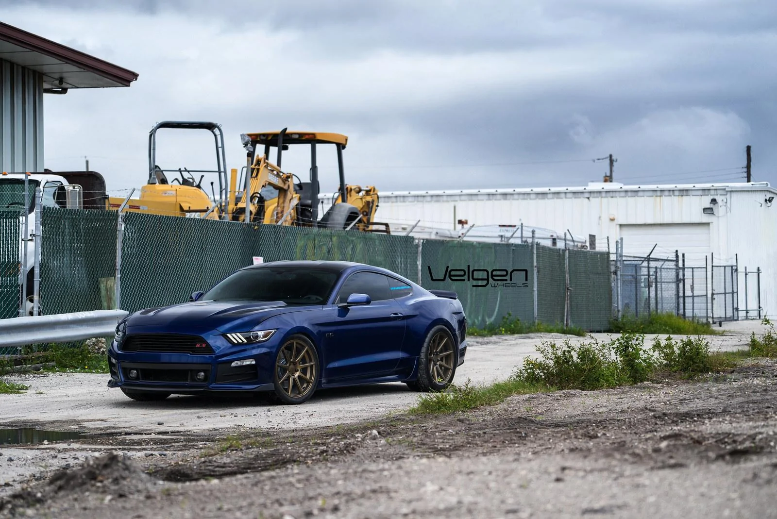 Blue-Mustang-on-VMB9-Bronze-3.webp
