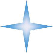 4-point-star.webp
