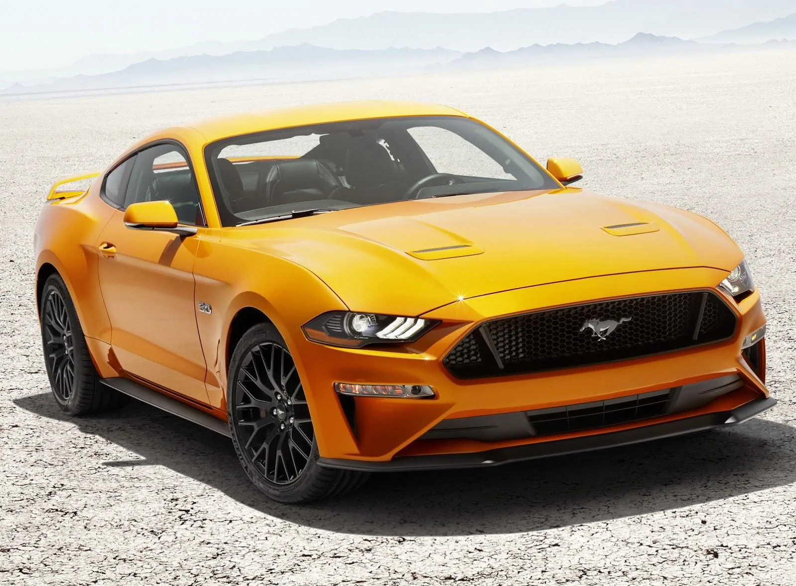 New-Mustang-18-17.webp