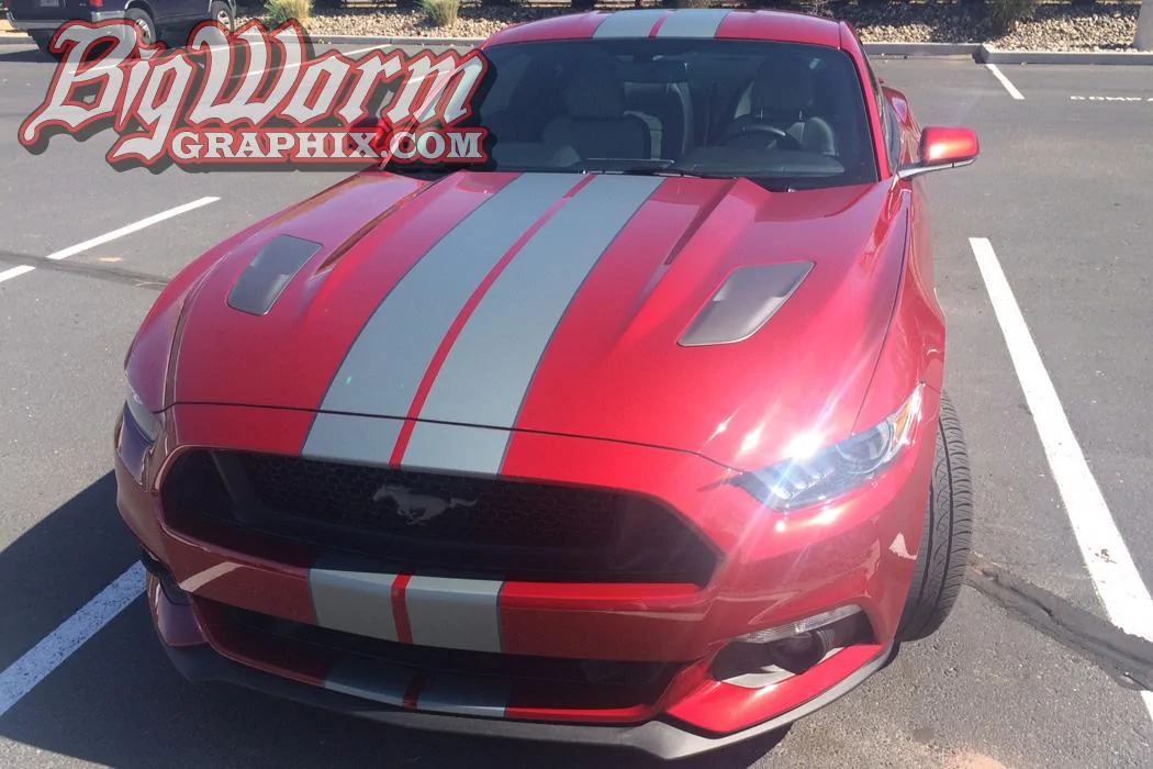 2015-gt-red-silver-char-narrow-lrg.webp