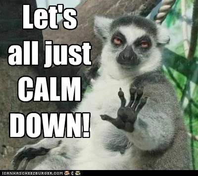 calm-down-three-sloth.webp