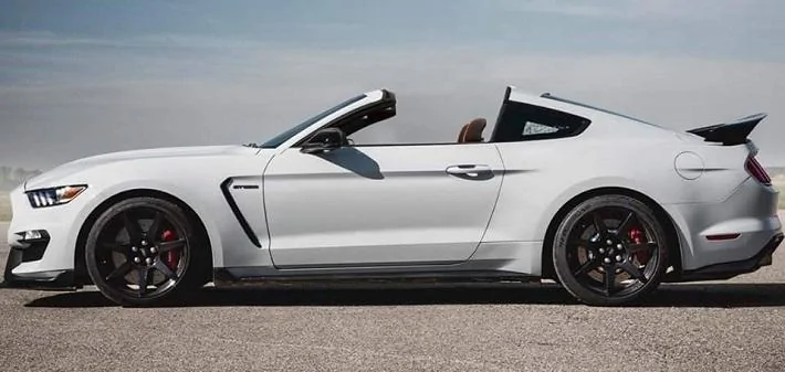 Shebly_GT350_Targa.webp