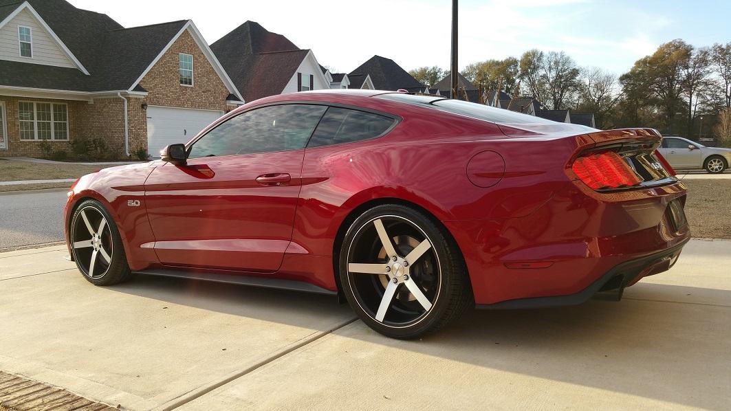 new stang 030.jpg