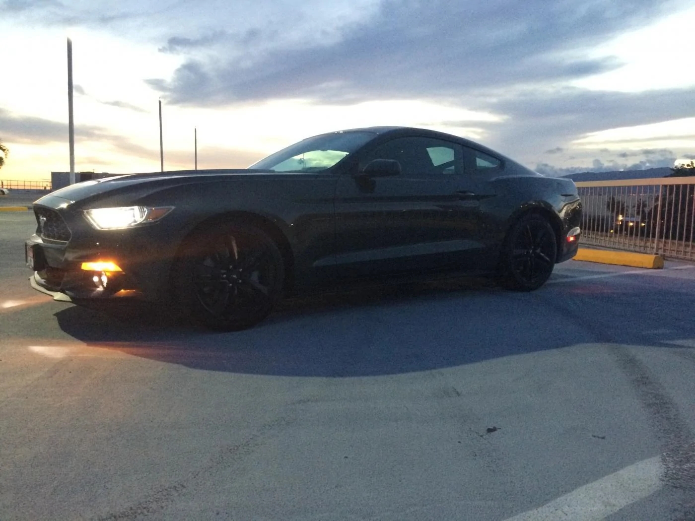 IMG_6521.webp