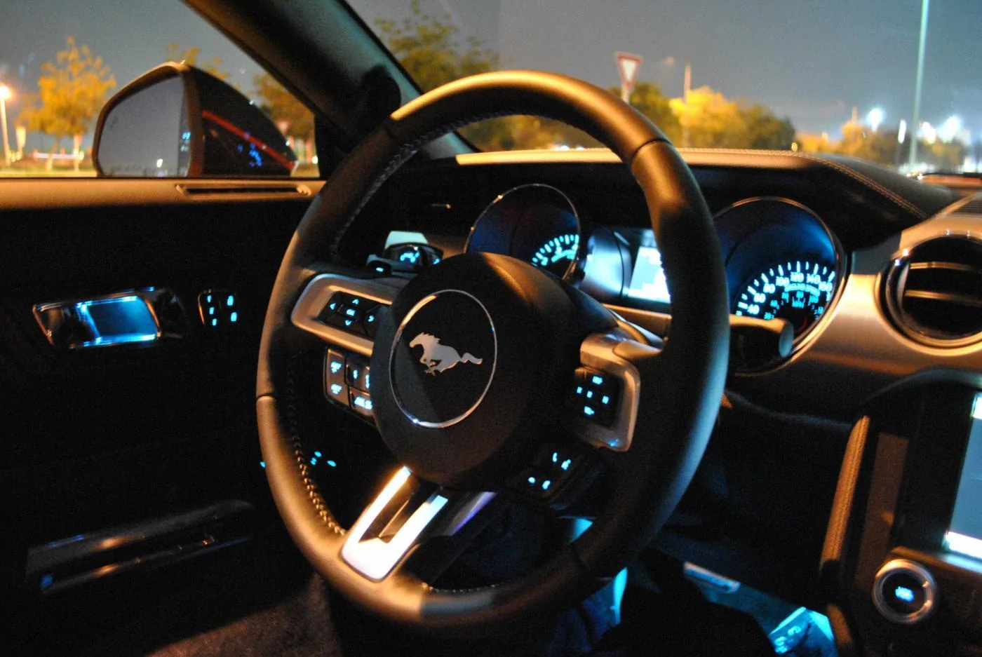 Picture_08.webp