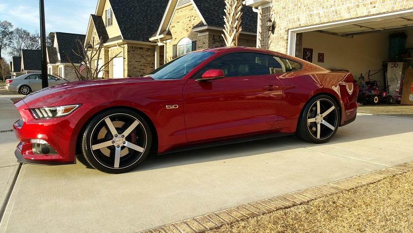 new stang 023-1.jpg