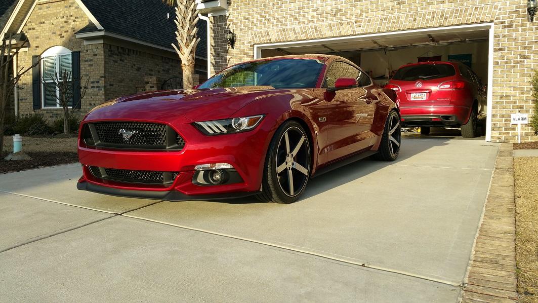new stang 024-1.jpg