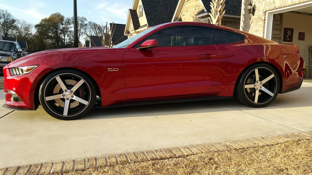 new stang 029-1.jpg