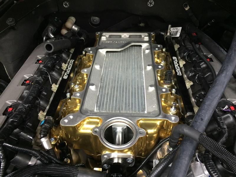 IC open surface_Whip.jpg