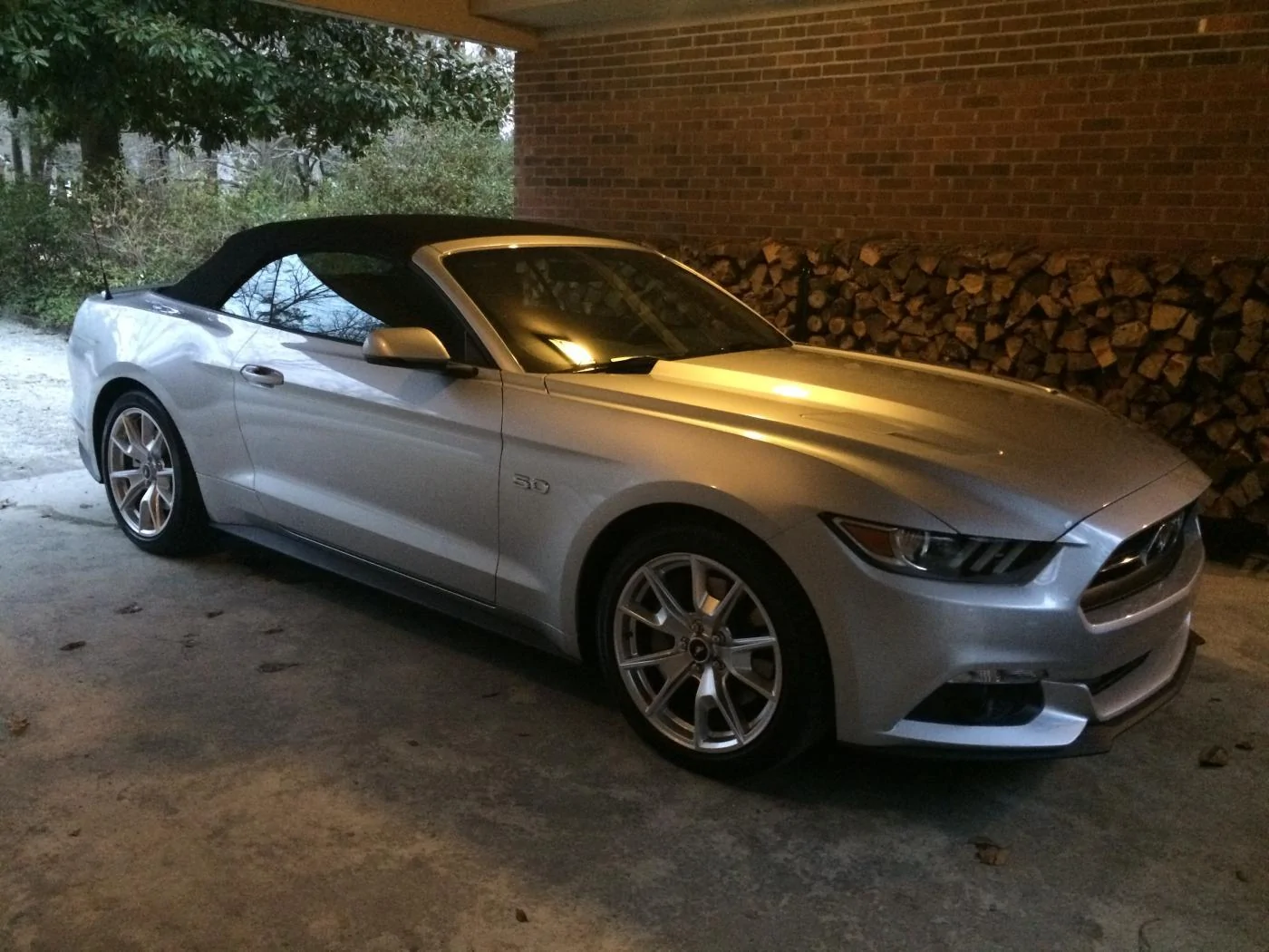IMG_3619.webp