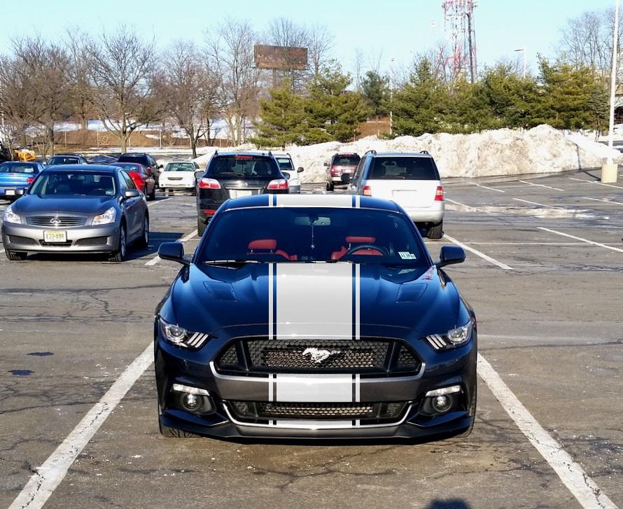magnetic supersnake.jpg