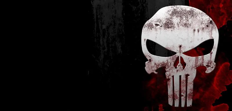 Punisher800x384.webp