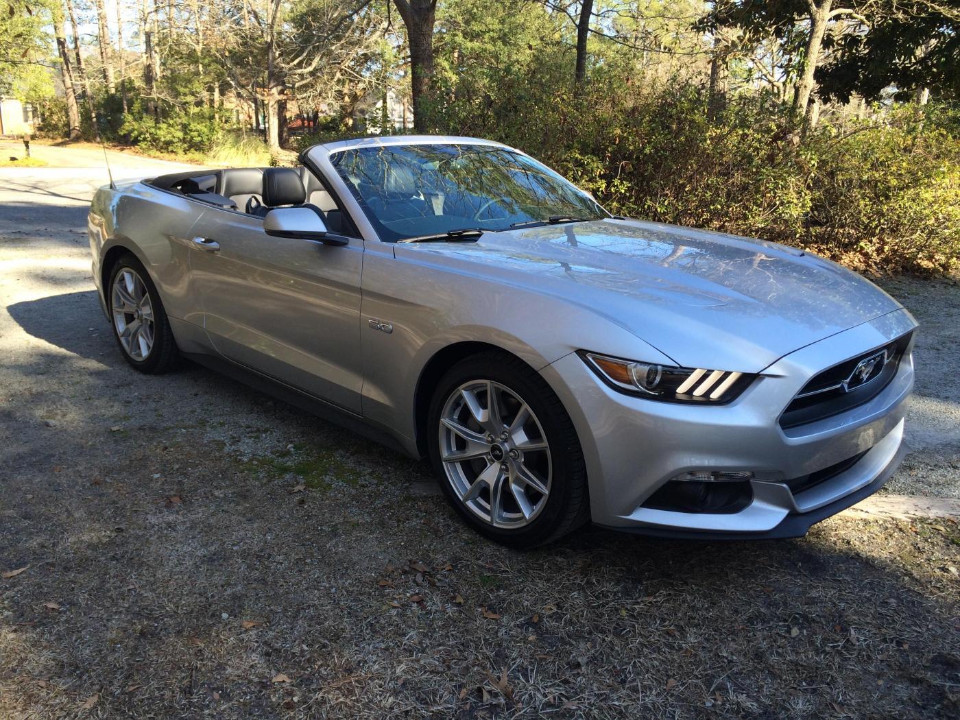 Mustang 009.jpg