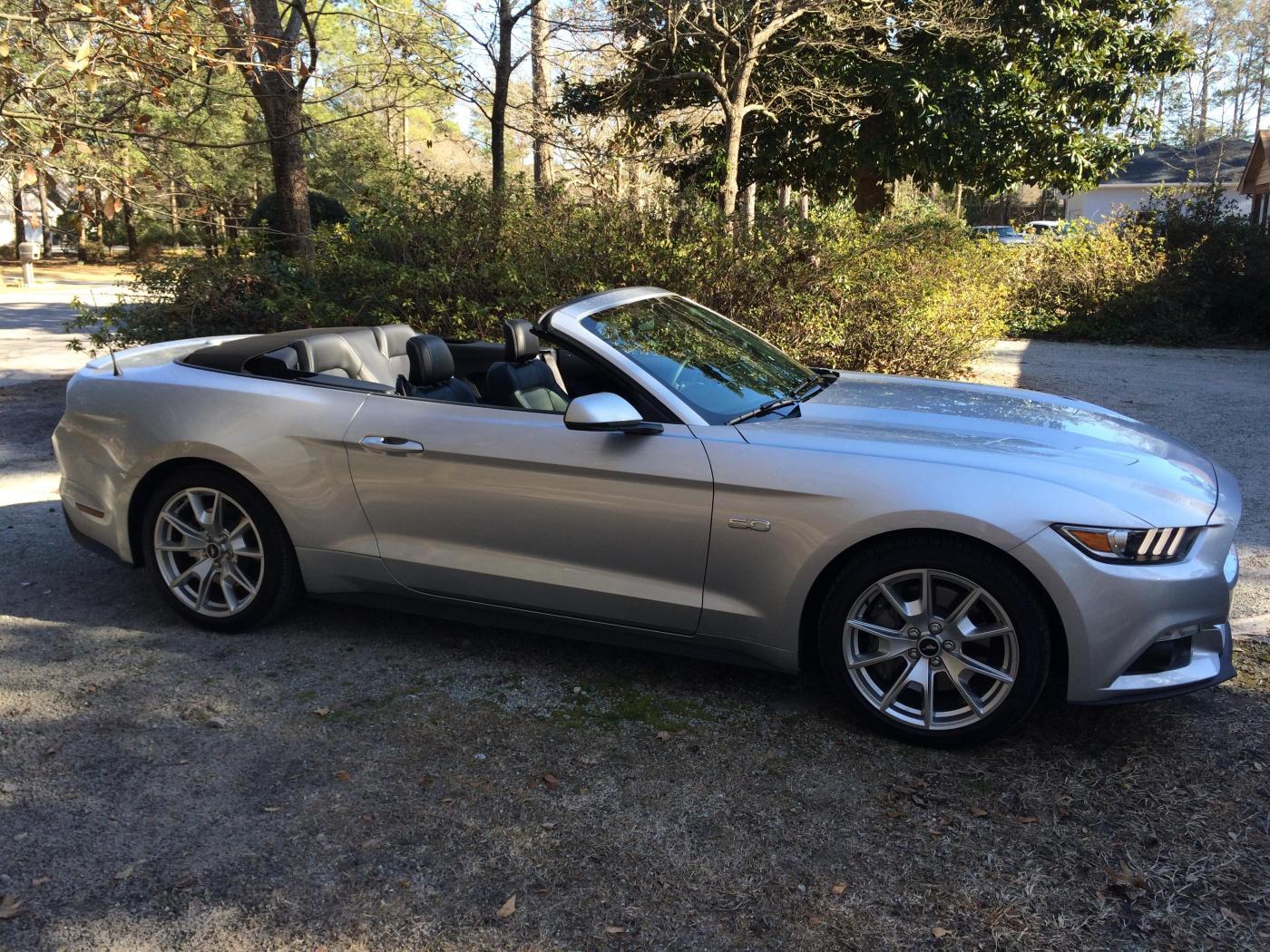 Mustang 010.jpg