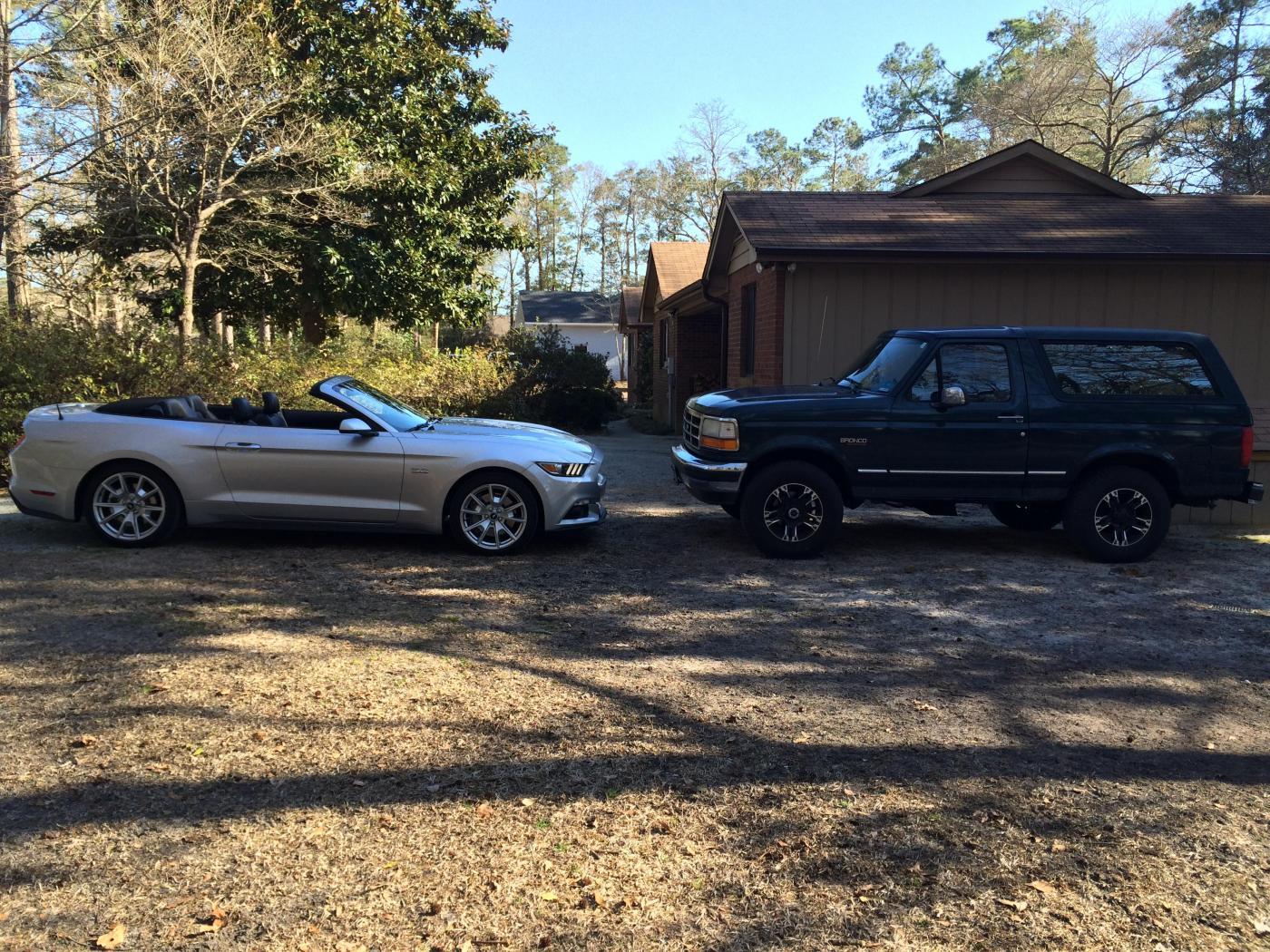 Mustang 013.jpg