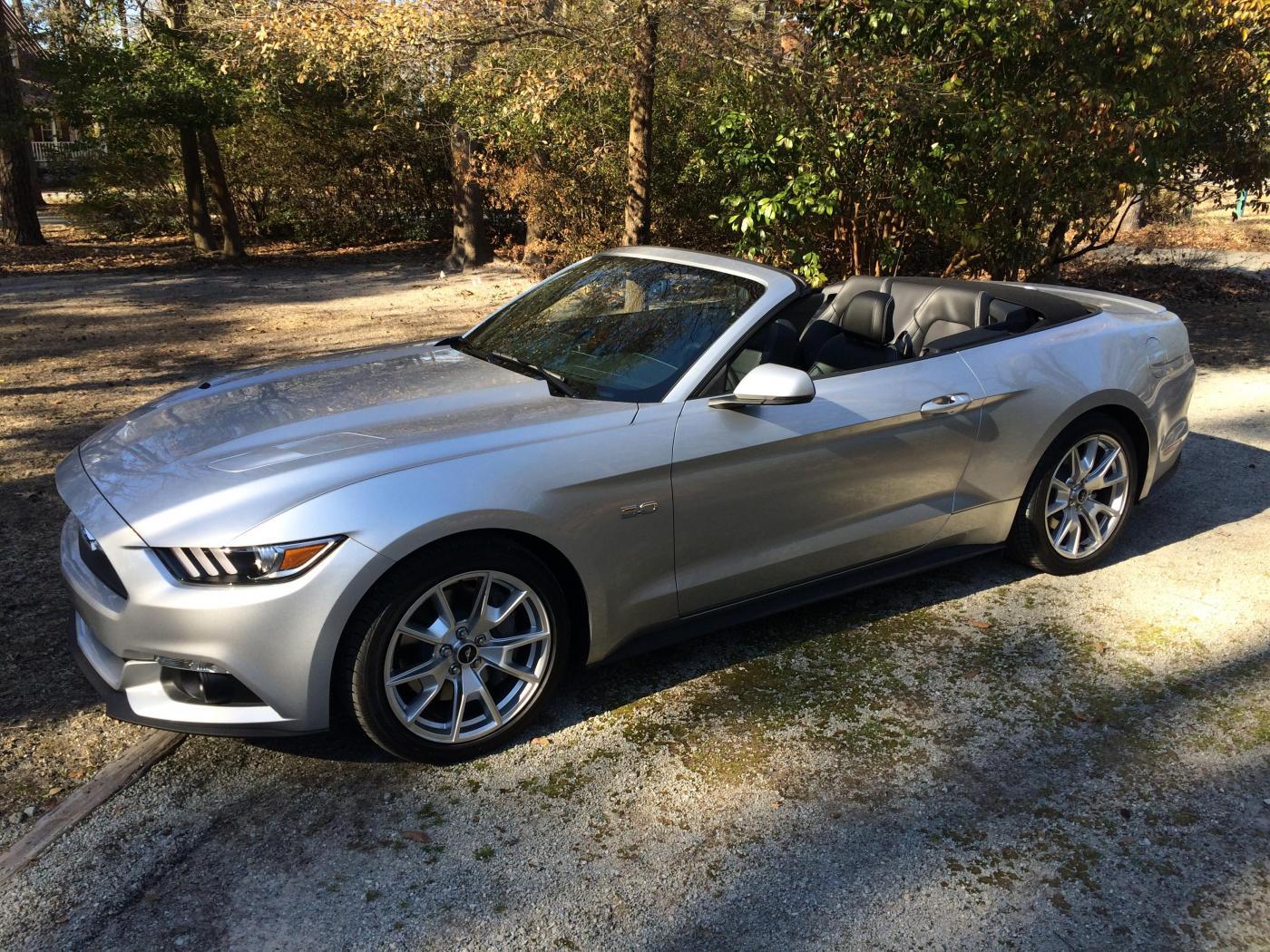 Mustang 007.jpg
