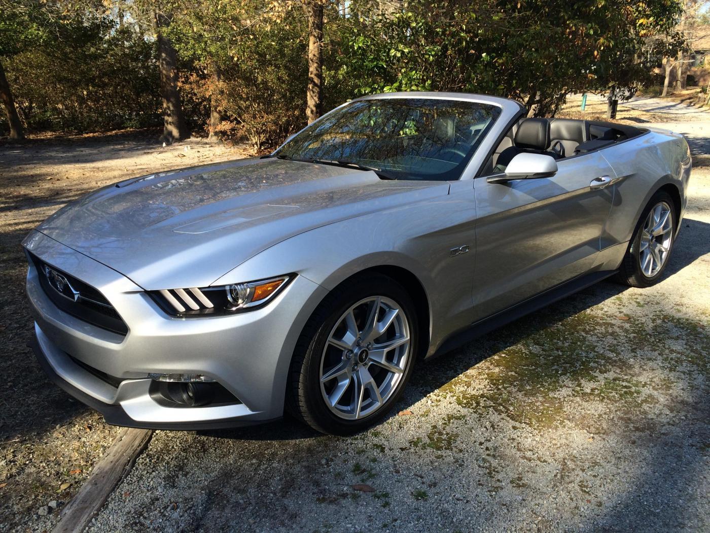 Mustang 008.jpg