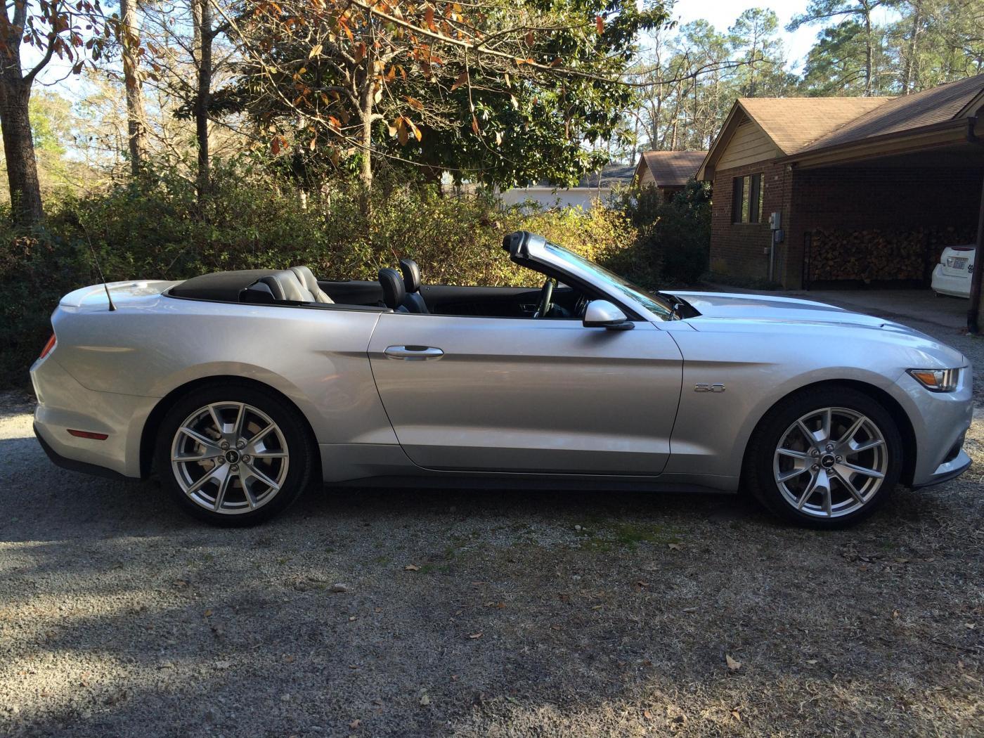 Mustang 011.jpg