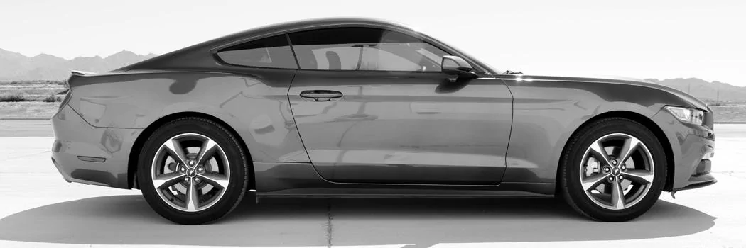Profile_99.webp