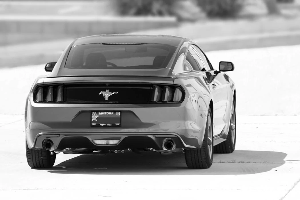 Profile_96.webp