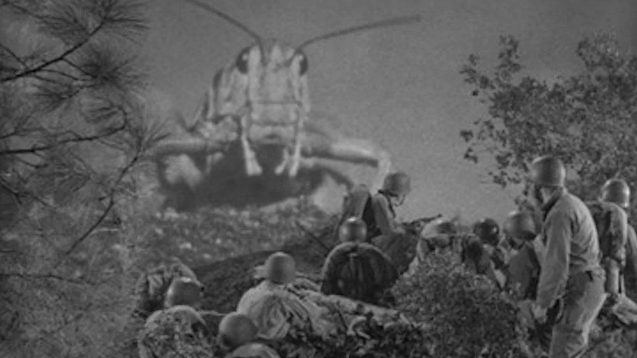 giant cricket - Beginning of the End.webp