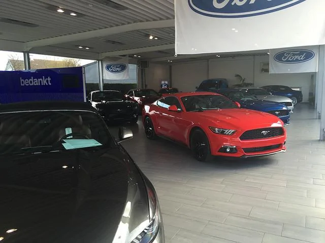 32815741791_99690a3588_z.webp