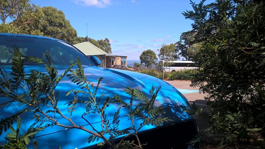 mustang_at_top_of_mt_macedon_australia.jpg
