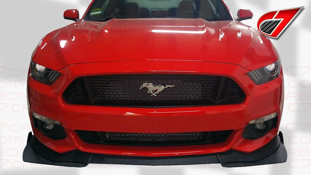 MUSTANG-P14.webp