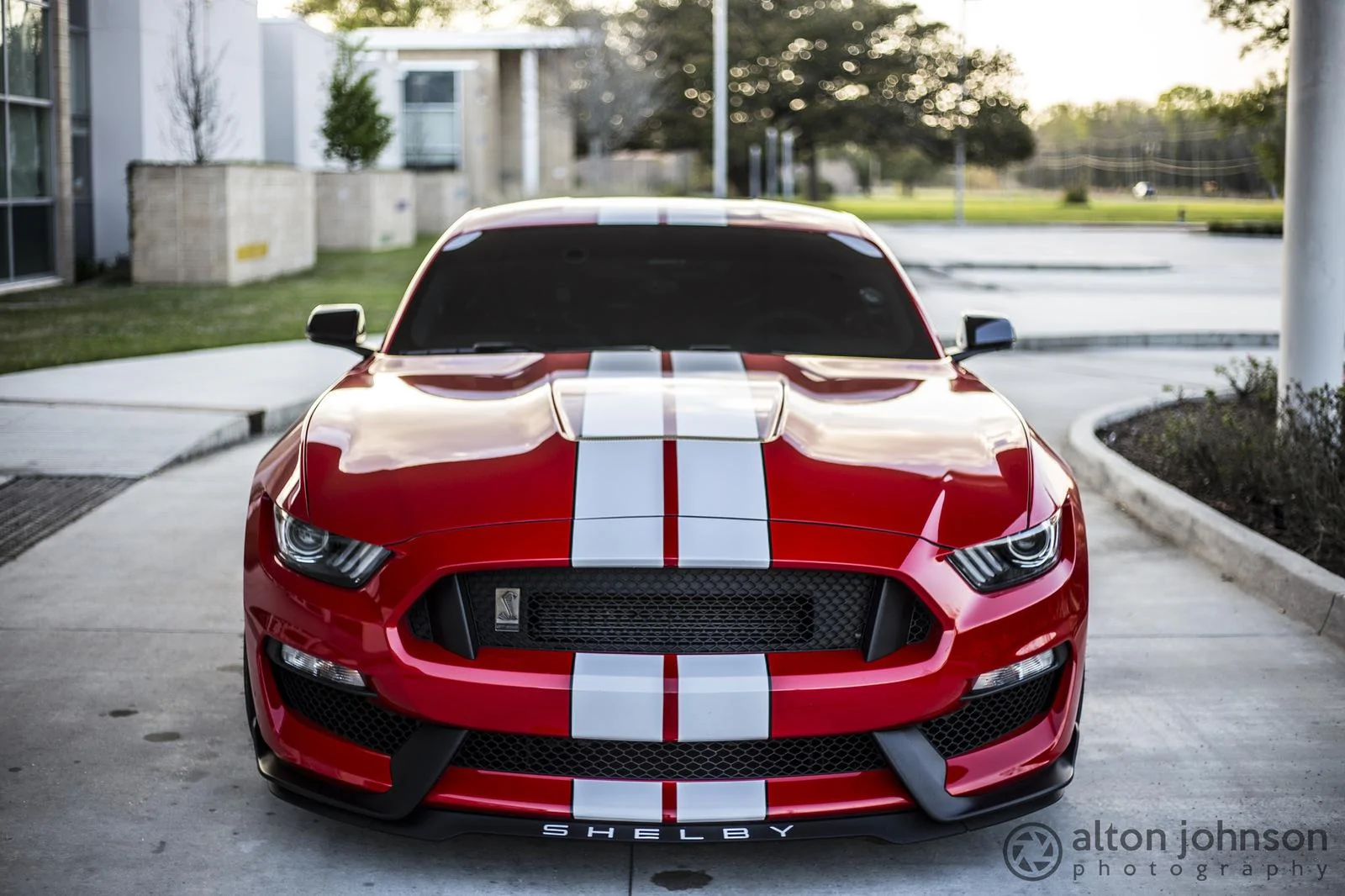 33501140206_5979e4fa8a_k.webp
