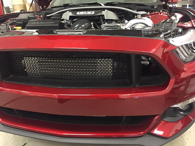 Procharger_e.jpg