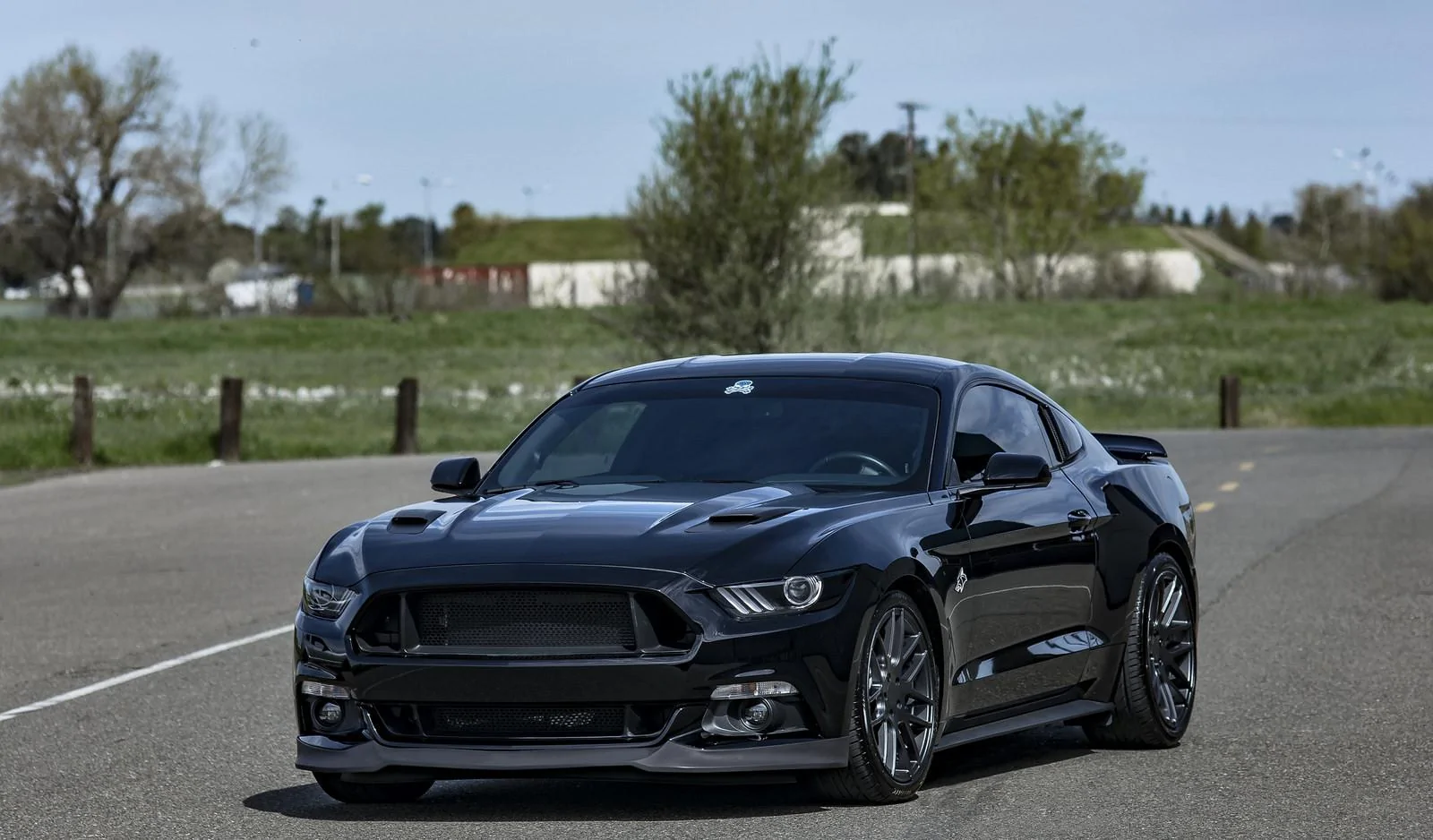 33412244391_f7bf5dc40e_h.webp