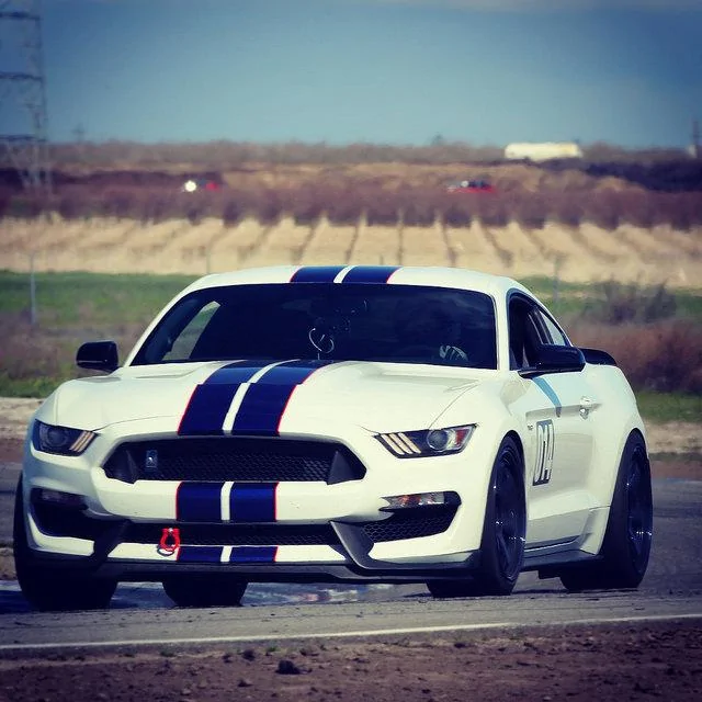 33607760685_8bf199e22f_z_d.webp