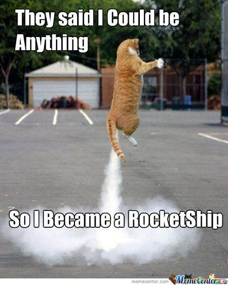 rocket-cat_o_1173128.webp