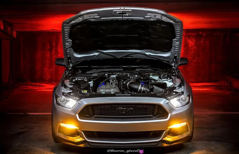 33765183796_e344ec6331_c.webp