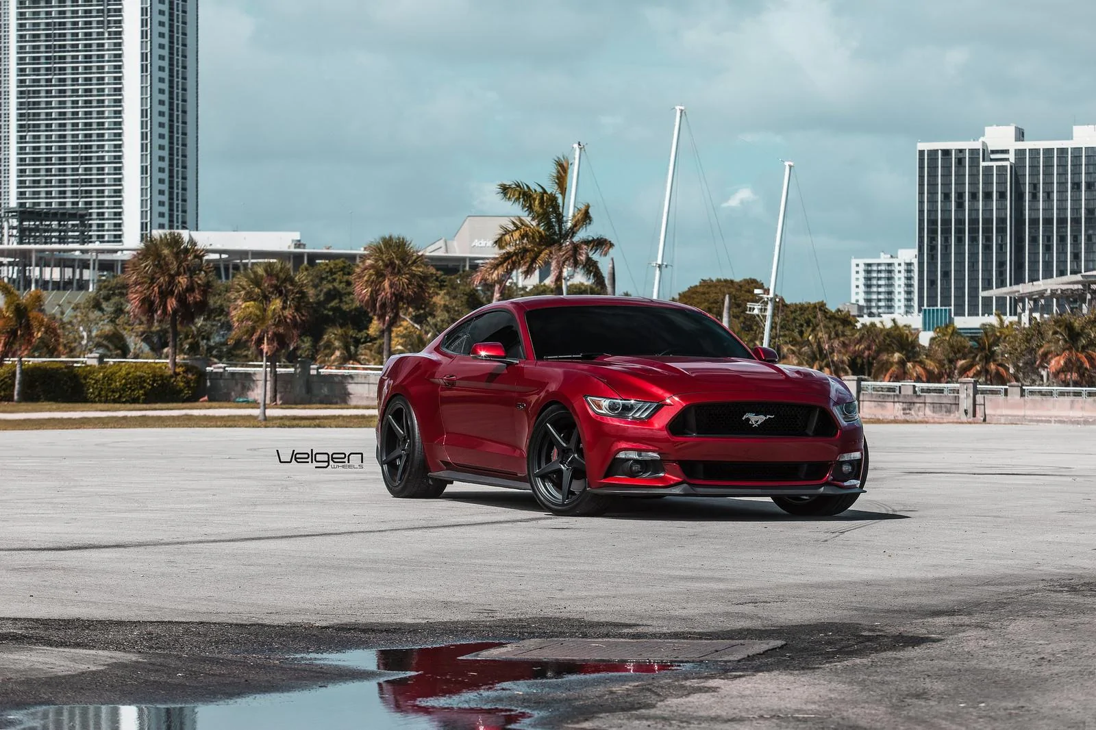 Ruby-Red-S550-Classic5-SB-1.webp